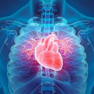nsh cardiology
